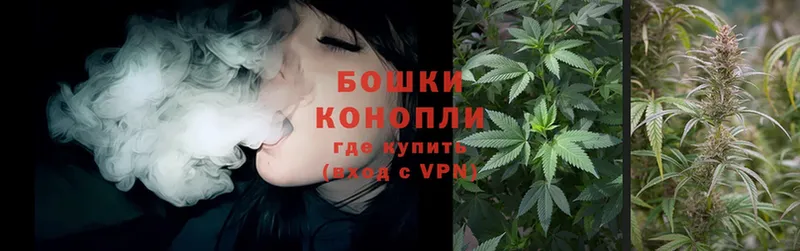 Марихуана SATIVA & INDICA  Нерчинск 